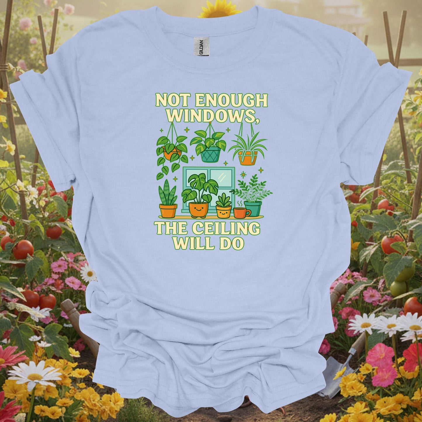 Light Blue shirt showing not enough windows the ceiling will do houseplant for home gardeners