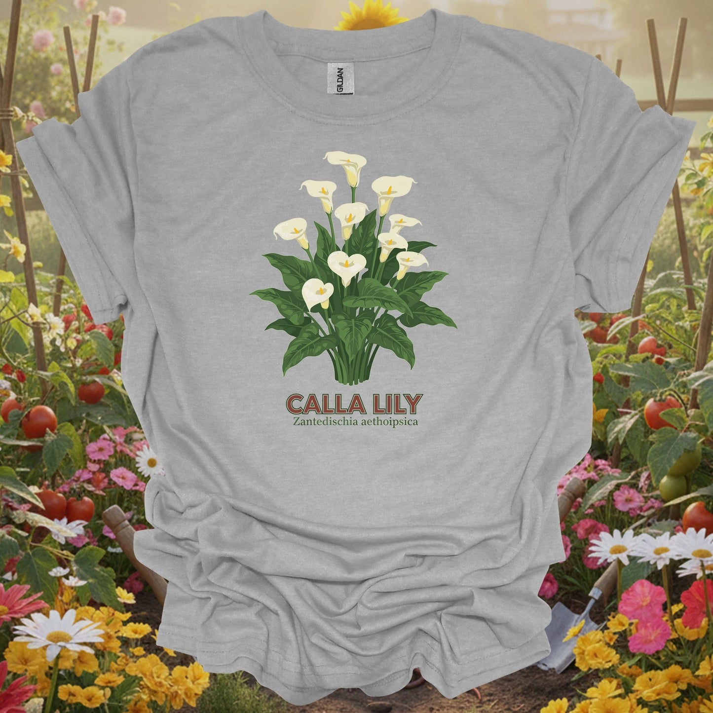 Sport gray tshirt showing a detailed, classic illustration of the zantedeschia, mirroring the high-fidelity scientific drawings found in historical naturalist journals for economists calculating cost savings