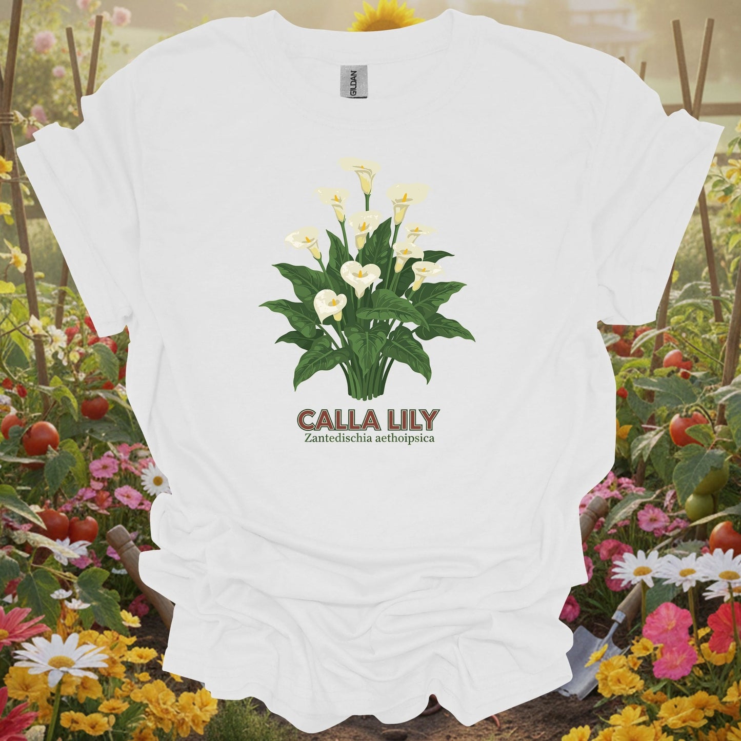White tshirt showing a detailed, classic illustration of the zantedeschia, mirroring the high-fidelity scientific drawings found in historical naturalist journals for economists calculating cost savings