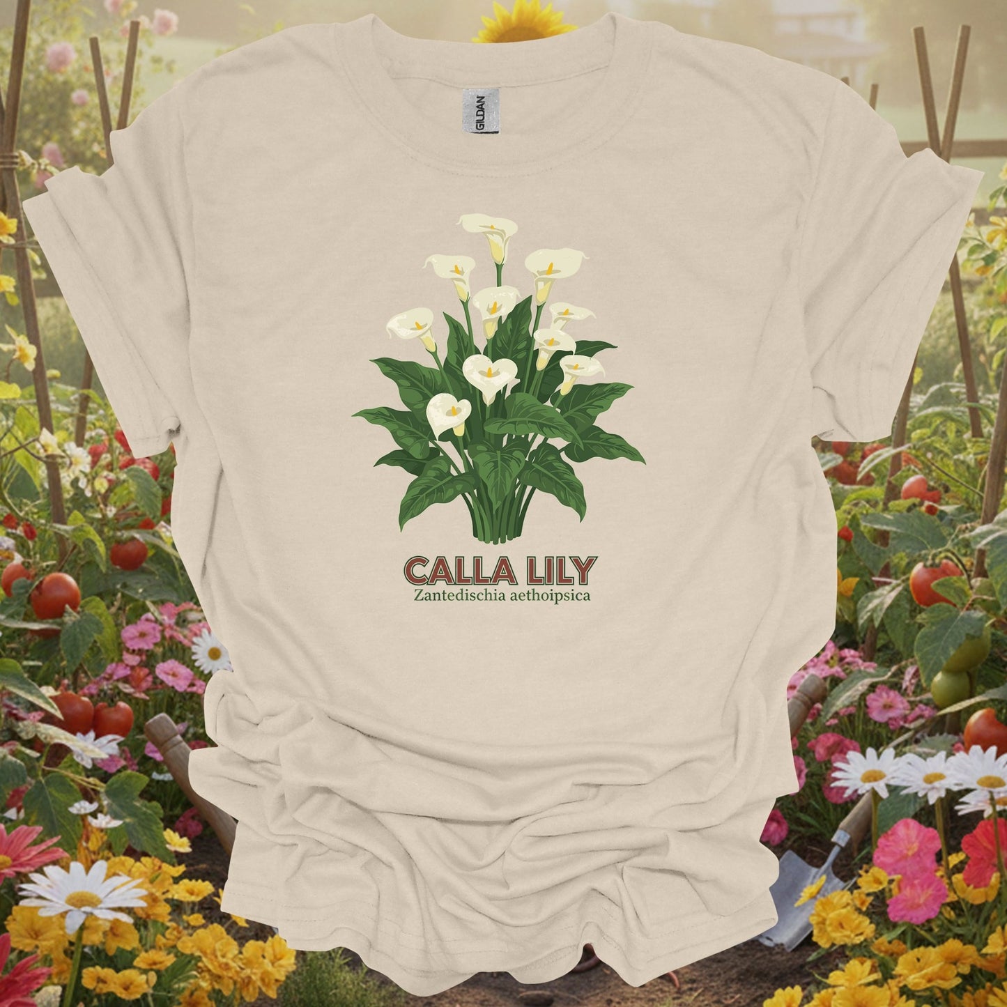 Natural tshirt showing a detailed, classic illustration of the zantedeschia, mirroring the high-fidelity scientific drawings found in historical naturalist journals for economists calculating cost savings