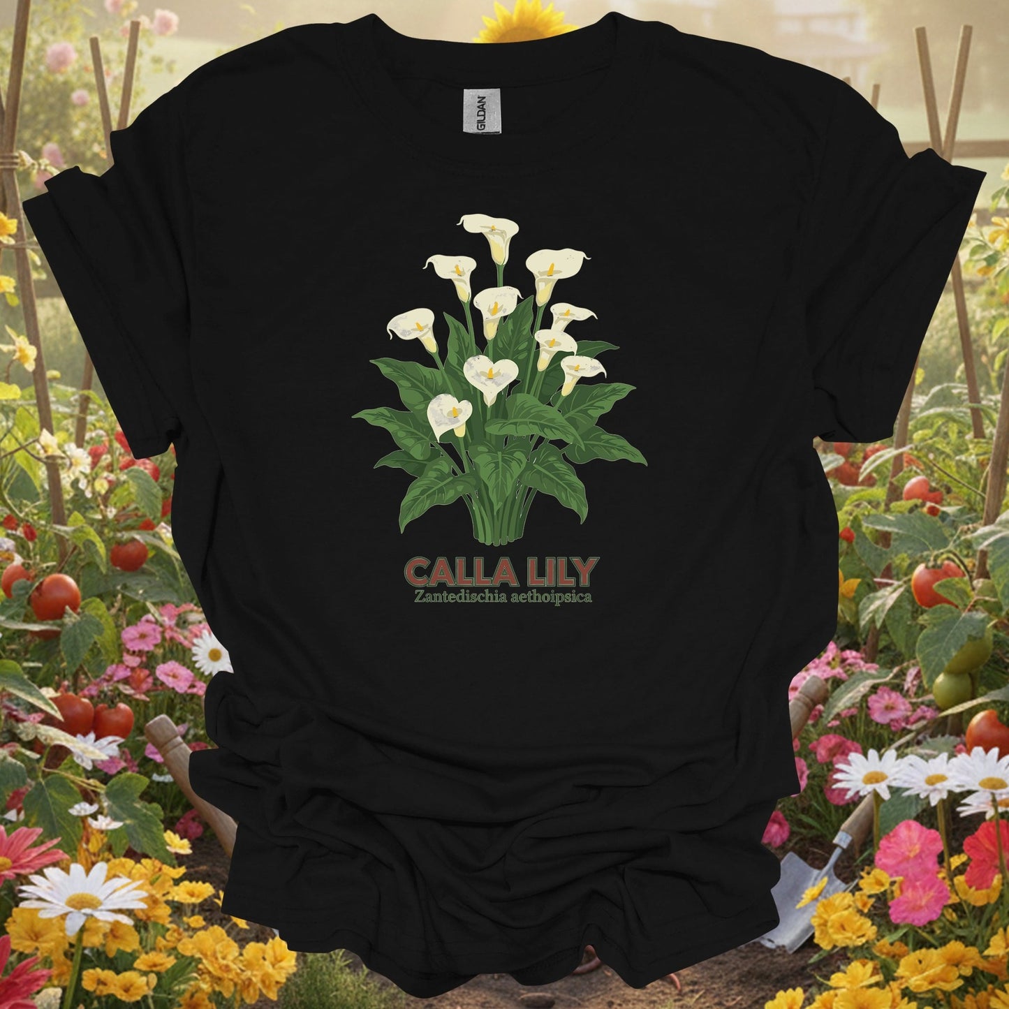 Black tshirt showing a detailed, classic illustration of the zantedeschia, mirroring the high-fidelity scientific drawings found in historical naturalist journals for economists calculating cost savings